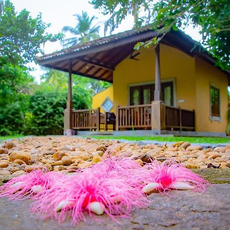 Birds Paradise Cabanas Unawatuna Eksteriør billede