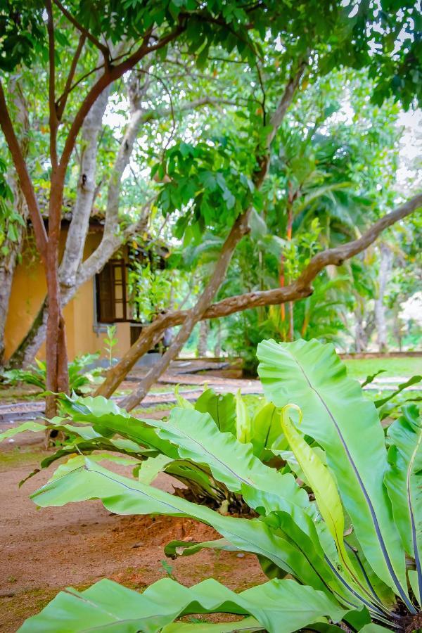 Birds Paradise Cabanas Unawatuna Eksteriør billede