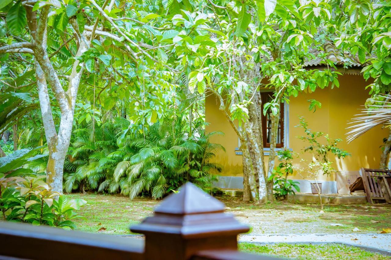 Birds Paradise Cabanas Unawatuna Eksteriør billede