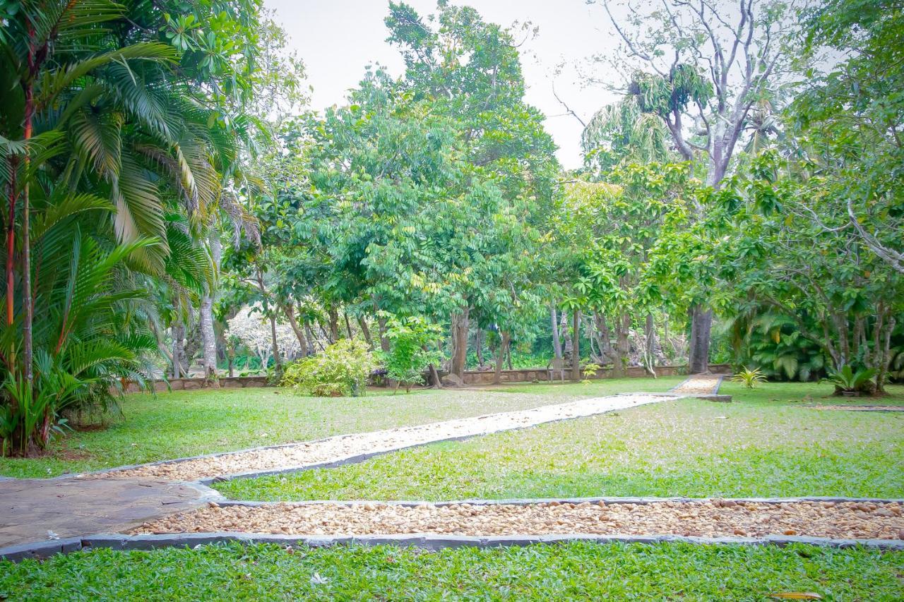 Birds Paradise Cabanas Unawatuna Eksteriør billede